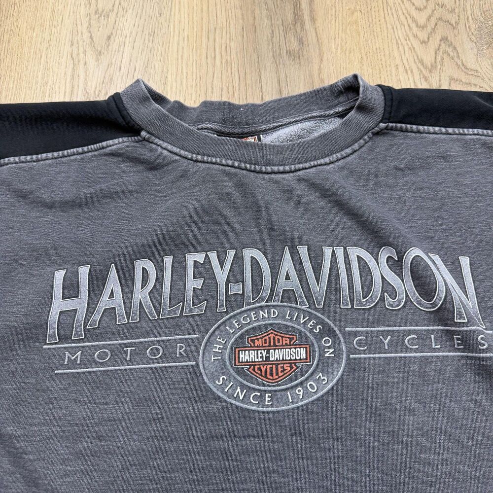 Harley-Davidson Sweatshirt Mens Large Gray Tucson Arizona Fleece Pullover - Picture 2 of 13